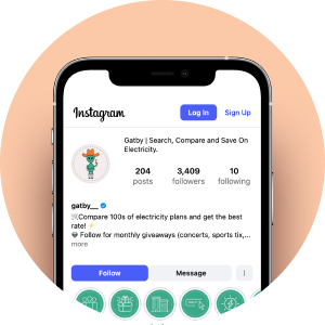 Follow Gatby on Instagram